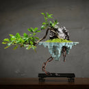 Ljojo™ Mangosteen Hanging Flower Pot for Home and Garden Decoration