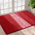 Ljojo Low Profile Mat - Indoor Non-Slip Welcome Doormat with Super Absorbency