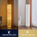 Floor Lamps with Remote Control LED Soft Light for Living Room by Ljojo