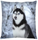 Ljojo 3D Animal Print Cushion Covers (18" x 18") - Cute Collection