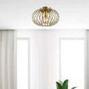 Ljojo Minimalist Iron Art Ceiling Light for Living Room, Bedroom, Kitchen.