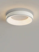 Ljojo 50cm LED Ceiling Light Modern Minimalist Surface Mount White Green Cream