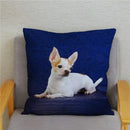 Chihuahua Dog Printed Cushion Cover by Ljojo for Home Decor