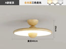 Nordic LED Ceiling Light Walnut Color Modern Indoor Lighting by Ljojo
