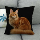 Fat Orange Cat Print Cushion Cover 45x45cm by Ljojo: Animal Pattern Home Decor Pillowcase