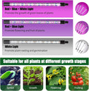 Full Spectrum Tripod LED Plant Light for Indoor Greenhouse Vegetables by Ljojo