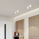 LED Ceiling Light Adjustable Tube Living Room Balcony Spotlight - Ljojo