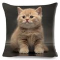 Cute Cat Print Fold Ear Pet Pillowcase for Cozy Home Decor by Ljojo