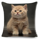 Cute Cat Print Fold Ear Pet Pillowcase for Cozy Home Decor by Ljojo