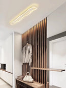 Ljojo Modern Minimalist Ceiling Light for Living Room Bedroom | Indoor Home Decor Fixture