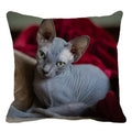 Cute Ljojo Sphinx Cat Cushion Cover 45X45cm - Home Sofa Decoration Pillowcase