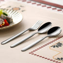 Ljojo Long Handle Stainless Steel Pointed Spoon for Home and Hotel Tableware