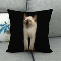 Fat Orange Cat Print Cushion Cover 45x45cm by Ljojo: Animal Pattern Home Decor Pillowcase