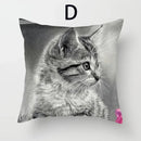 Cat Pattern Cushion Cover 45x45cm - Ideal Sofa & Home Decor Gift by Ljojo