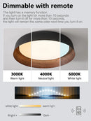 Ljojo LED Ceiling Light: Nordic Minimalist Remote Control Chandelier