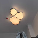 LED Ceiling Light Modern for Living Room Bedroom Kitchen Dining Ljojo Lighting Fixture