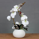 Ceramic Butterfly Orchid Vase for Home Decor Ljojo™ Orchid Collection