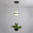 Modern Plant Pendant Lights Nordic DIY Sky Garden Led Lamp Hanging Lamp Home Decor by Ljojo