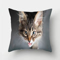 Cute Cat Print Cushion Cover for Sofa Decor by Ljojo