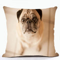 French Bulldog & Pug Dog Pillowcase by Ljojo - Decorative Animal Polyester Cushion Cover