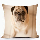 French Bulldog & Pug Dog Pillowcase by Ljojo - Decorative Animal Polyester Cushion Cover