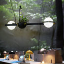 Ljojo LED Chandelier Plant Suspension Pendant Light - Black Kitchen Bar Dinning Room