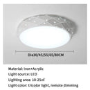 Ljojo LED Ceiling Light: Remote Dimmable Modern Chandelier for Bedroom, Living Room & Hallway