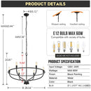 Modern LED Ring Chandelier Pendant Light Stylish Home Decor Ljojo
