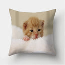 Cute Cat Print Cushion Cover for Sofa Decor by Ljojo