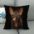 Fat Orange Cat Print Cushion Cover 45x45cm by Ljojo: Animal Pattern Home Decor Pillowcase