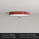 LED Ceiling Lamp Retro Red Edge Round for Bedroom Living Room Kitchen by Ljojo