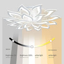 Ljojo Modern Acrylic LED Ceiling Light for Living Room Bedroom Interior Lighting Fixtures