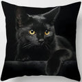 Ljojo  Black Cat Pillowcase  Decorative Square Cushion Cover 45*45cm