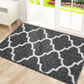 Ljojo Low-Pile Indoor Entrance Mat: Absorbent, Non-Slip & Washable Entry Rug