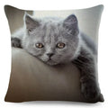 Cute Cat Print Fold Ear Pet Pillowcase for Cozy Home Decor by Ljojo