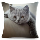 Cute Cat Print Fold Ear Pet Pillowcase for Cozy Home Decor by Ljojo