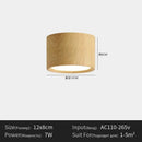 Ljojo Minimalist Cylinder LED Ceiling Light Modern Nordic Chandelier Hallway Kitchen Elegant Decor