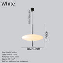 Nordic Designer Led Pendant Light Modern Hanging Chandelier Ljojo