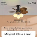 Ljojo Modern Scandinavian LED Blade Ceiling Fan Light with Remote Control for Living Dining Kitchen
