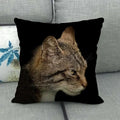 Fat Orange Cat Print Cushion Cover 45x45cm by Ljojo: Animal Pattern Home Decor Pillowcase
