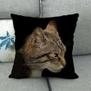 Fat Orange Cat Print Cushion Cover 45x45cm by Ljojo: Animal Pattern Home Decor Pillowcase