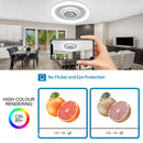 Ljojo LED Interior Chandelier Ceiling Light - Bedroom Living Room Home Appliance Lamp