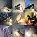 Ljojo Lively Bird Table Lamp Resin Home Decor Lighting Wall Fixture