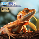 Ljojo™ 4K UHD Projector 35000 Lumens Android WiFi 6 BT5.2 64G Native1080P Theatre