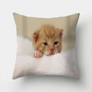Cute Cat Print Cushion Cover for Sofa Decor by Ljojo