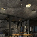 Nordic Spider Shaped Chandelier for Living Room | Industrial Luster Lighting Fixtures by Ljojo