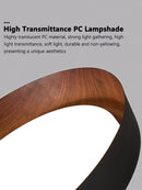 Ljojo LED Ceiling Light: Nordic Minimalist Remote Control Chandelier