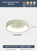 Ljojo 50cm LED Ceiling Light Modern Minimalist Surface Mount White Green Cream
