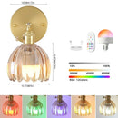 LED RGB Rechargeable Glass Wall Lamp Tulip Shade Ljojo Bedroom Study Lighting