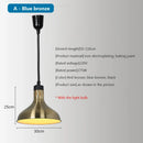Ljojo 250W Heat Lamp Pendant Light for Food Heating or Holding